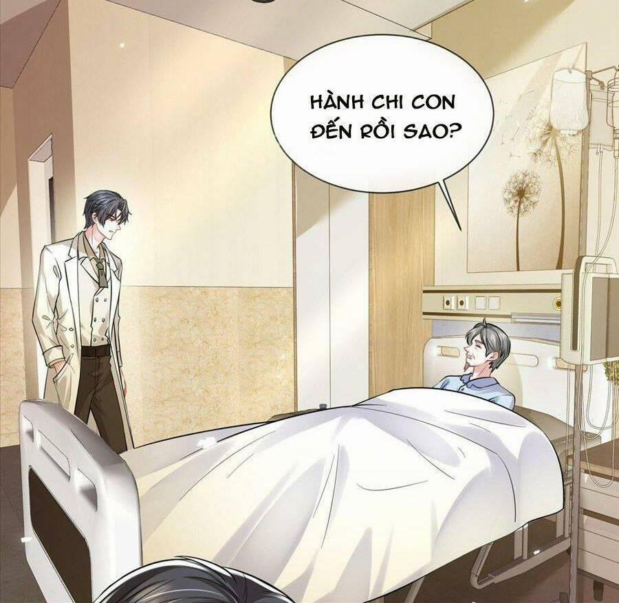 Vợ Tôi Là Boss Ngầm Đầy Quyền Lực 31 trang 14