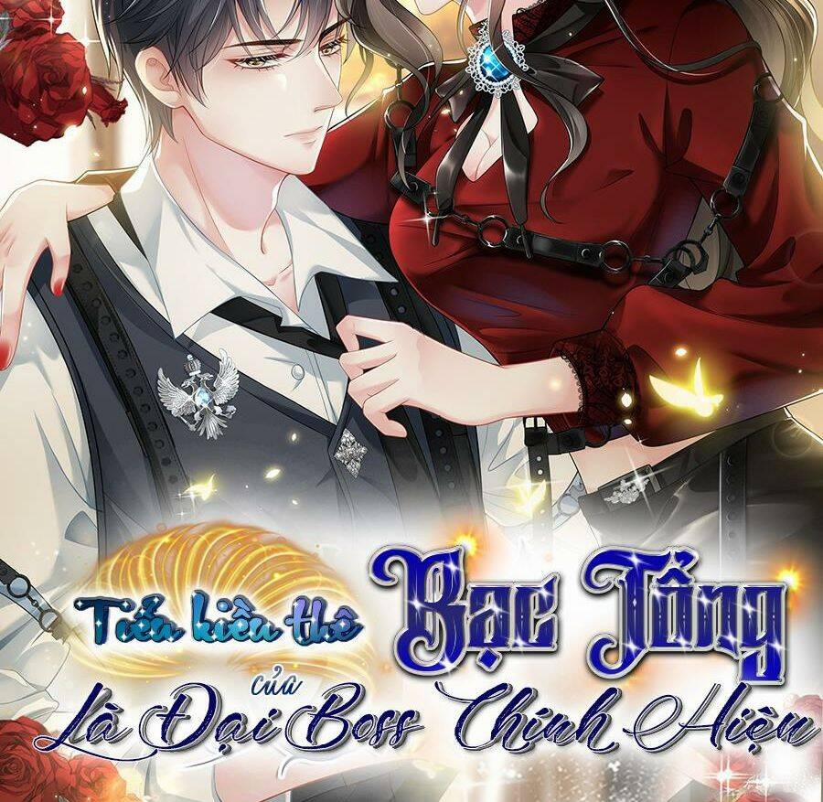 Vợ Tôi Là Boss Ngầm Đầy Quyền Lực 31 trang 39