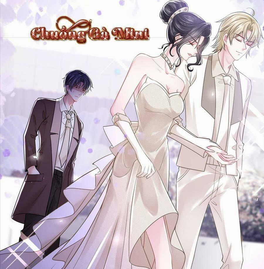 Vợ Tôi Là Boss Ngầm Đầy Quyền Lực 33 trang 0