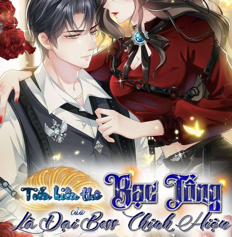 Vợ Tôi Là Boss Ngầm Đầy Quyền Lực 33 trang 39