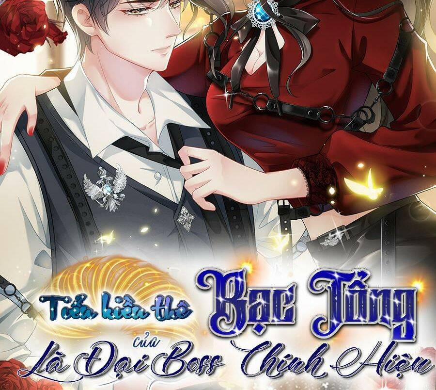 Vợ Tôi Là Boss Ngầm Đầy Quyền Lực 35 trang 39