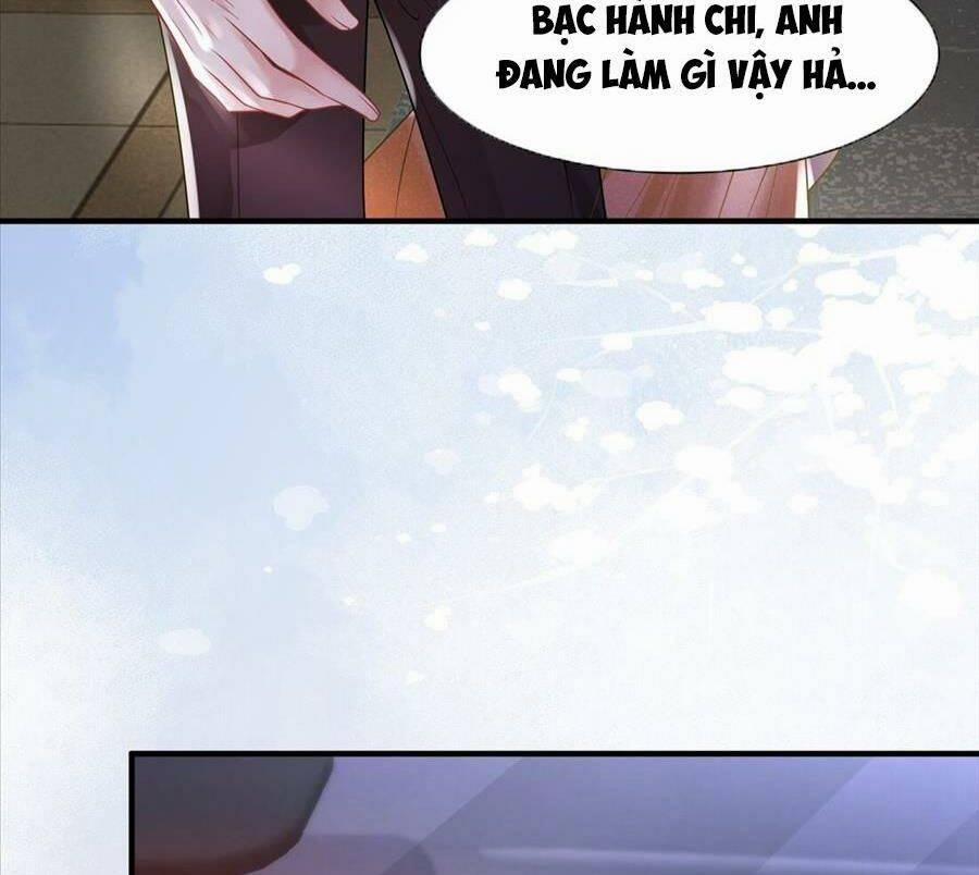 Vợ Tôi Là Boss Ngầm Đầy Quyền Lực 35 trang 6