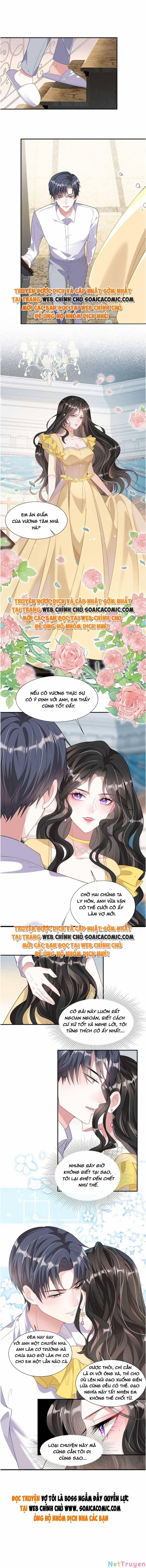 Vợ Tôi Là Boss Ngầm Đầy Quyền Lực 4 trang 4