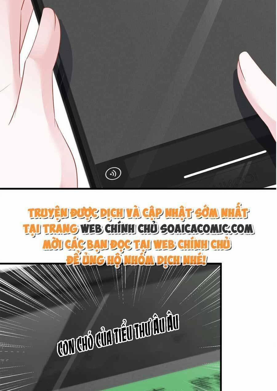 Vợ Tôi Là Boss Ngầm Đầy Quyền Lực 47 trang 6