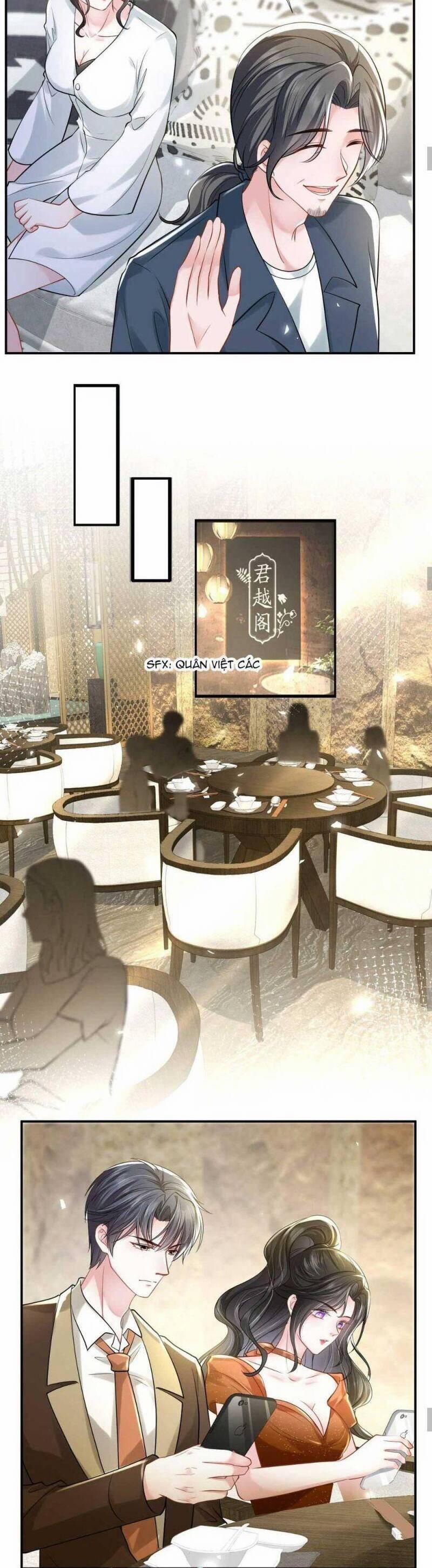 Vợ Tôi Là Boss Ngầm Đầy Quyền Lực 49 trang 8