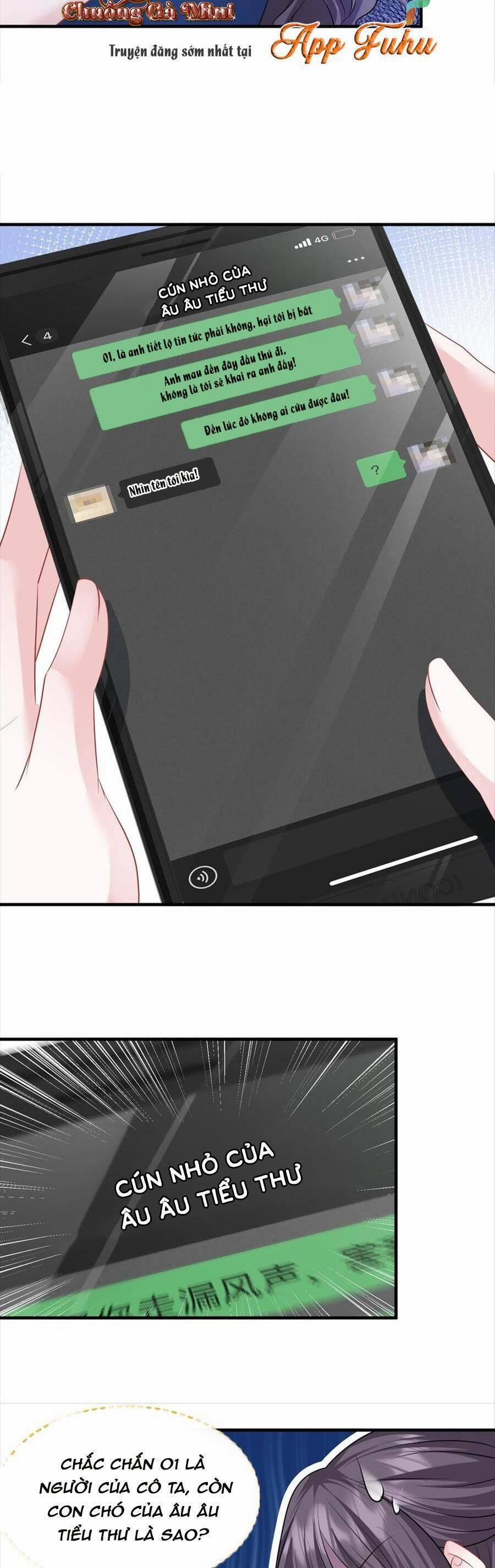 Vợ Tôi Là Boss Ngầm Đầy Quyền Lực 51 trang 4