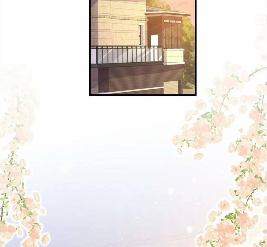 Vợ Tôi Là Boss Ngầm Đầy Quyền Lực 55 trang 48