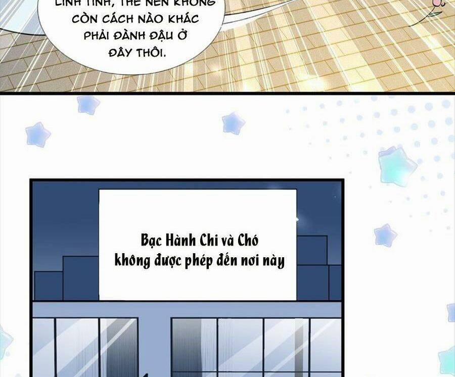 Vợ Tôi Là Boss Ngầm Đầy Quyền Lực 57 trang 6