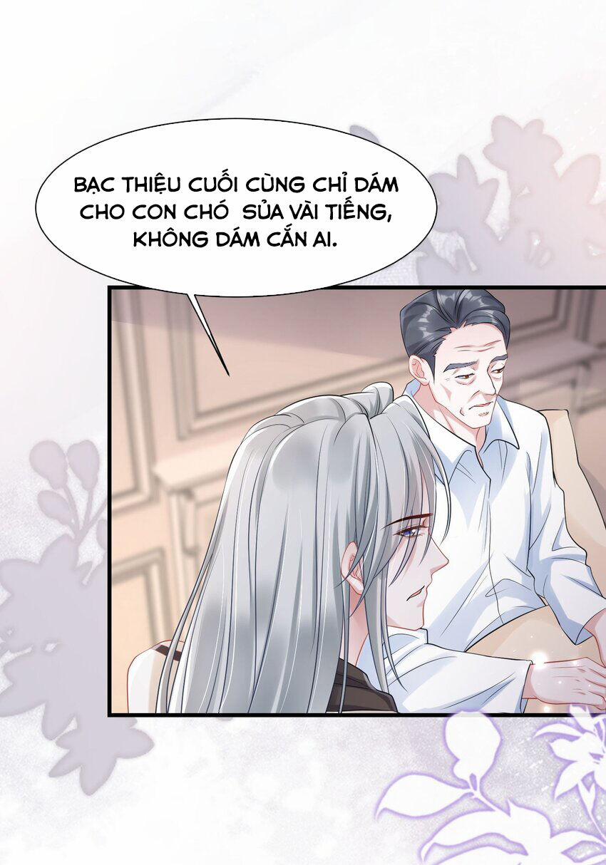 Vợ Tôi Là Boss Ngầm Đầy Quyền Lực 58 trang 10