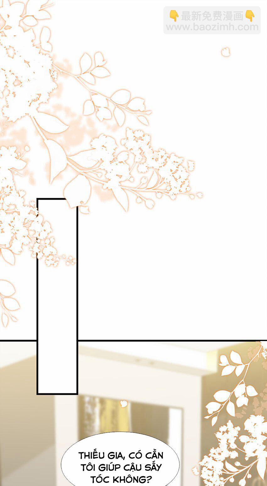 Vợ Tôi Là Boss Ngầm Đầy Quyền Lực 59 trang 5