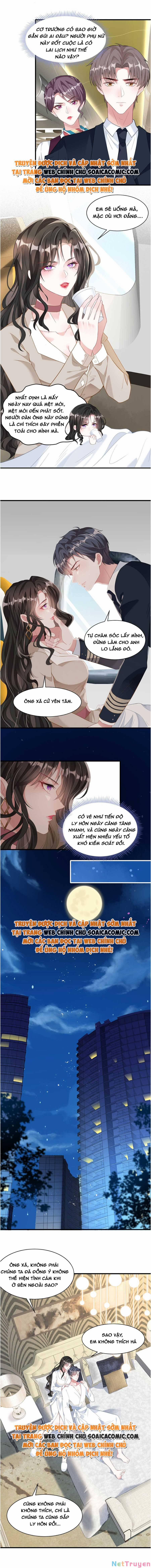 Vợ Tôi Là Boss Ngầm Đầy Quyền Lực 6 trang 3