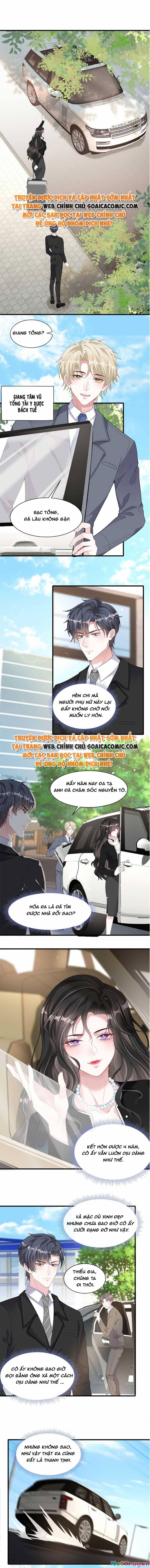 Vợ Tôi Là Boss Ngầm Đầy Quyền Lực 6 trang 5