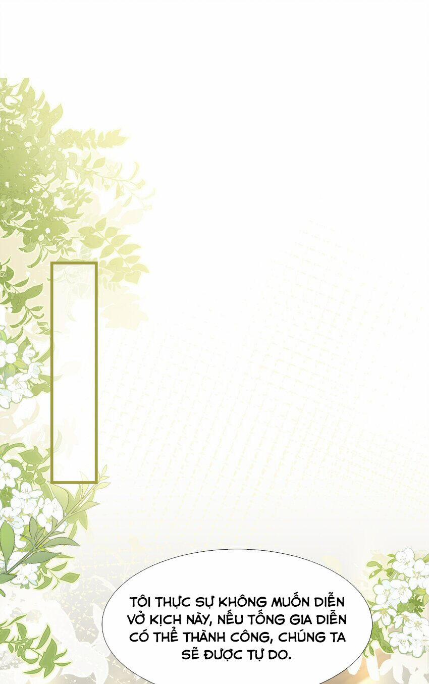 Vợ Tôi Là Boss Ngầm Đầy Quyền Lực 61 trang 17