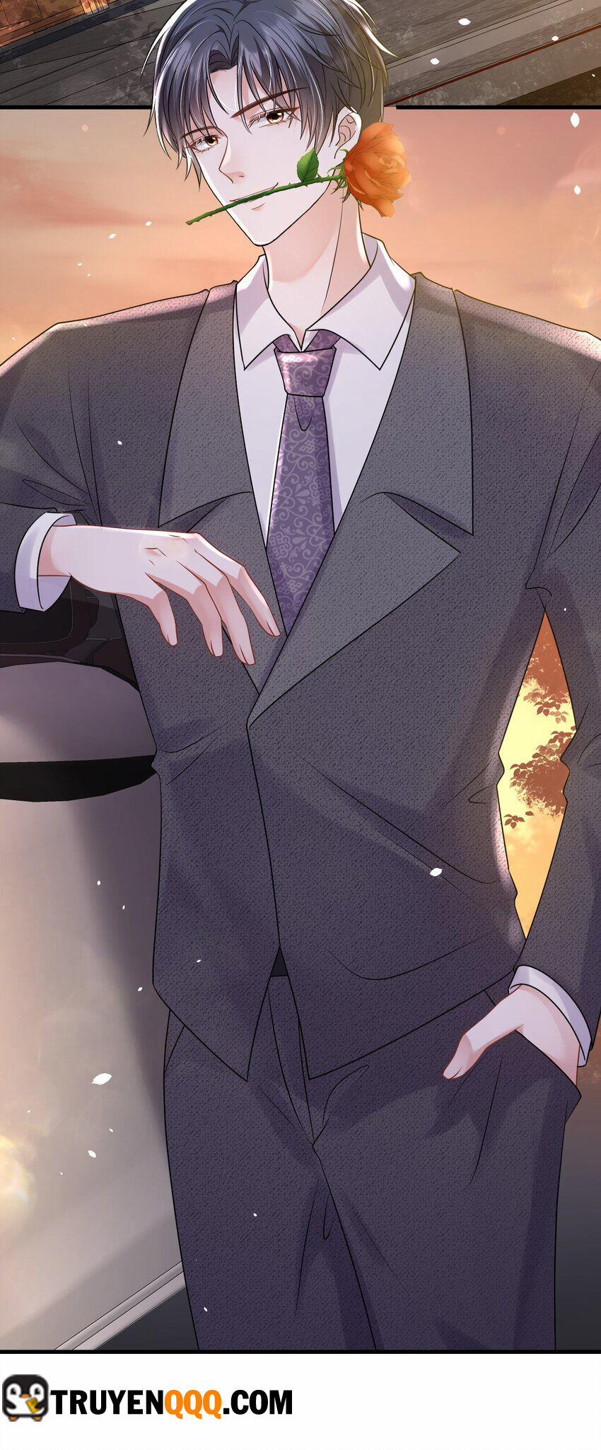 Vợ Tôi Là Boss Ngầm Đầy Quyền Lực 61 trang 28