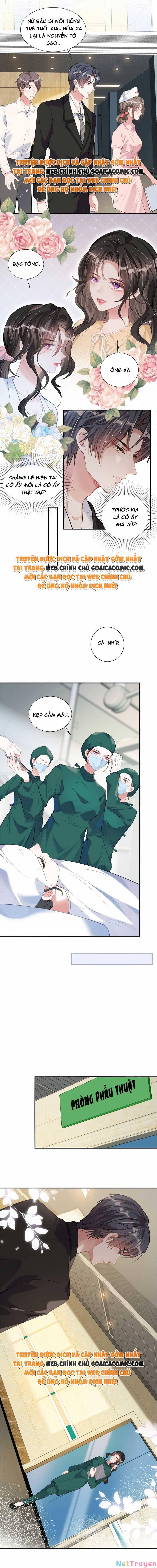 Vợ Tôi Là Boss Ngầm Đầy Quyền Lực 8 trang 3