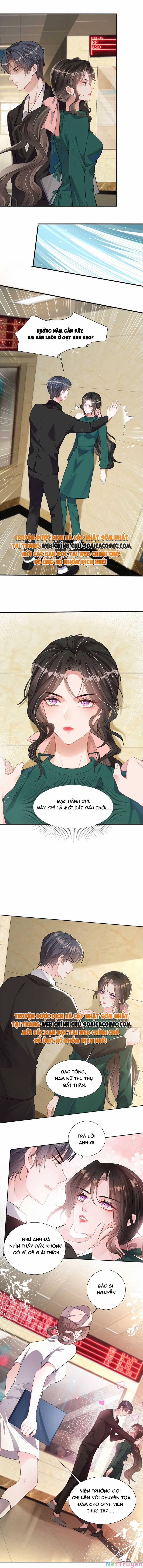 Vợ Tôi Là Boss Ngầm Đầy Quyền Lực 8 trang 4