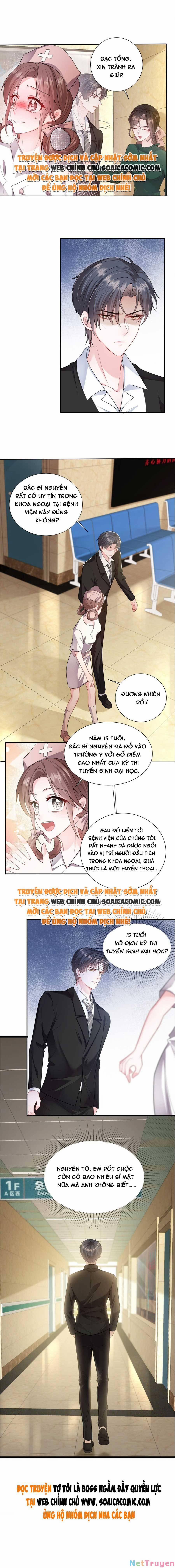 Vợ Tôi Là Boss Ngầm Đầy Quyền Lực 8 trang 5