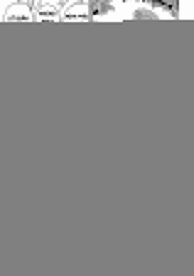 Với Himeno-Chan Thì Yêu Vẫn Còn Quá Sớm Đó! 10.3 trang 1