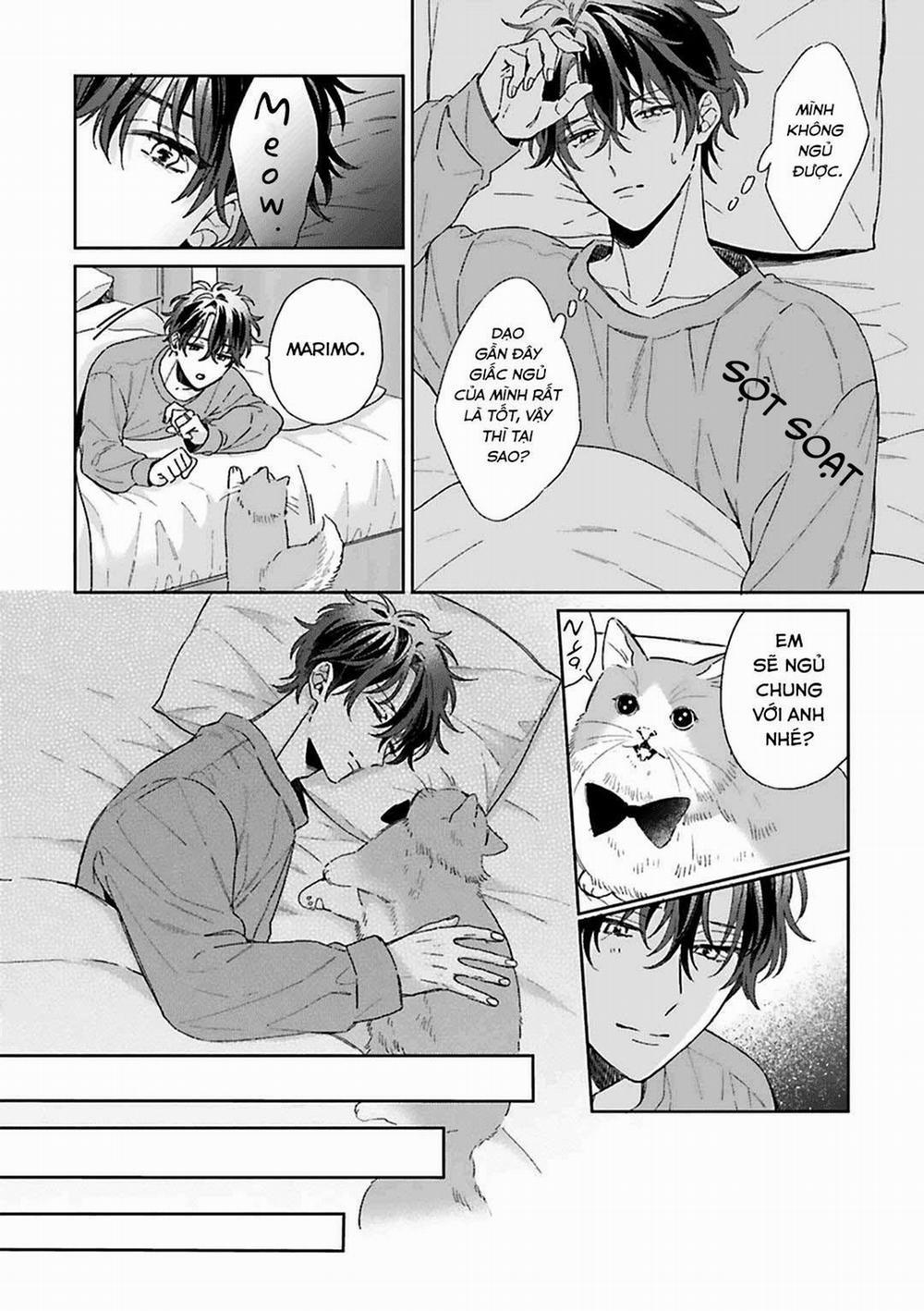 [Vol 2] Hôn Nhân Ngọt Ngào Đầy Bất Ngờ 1 trang 8