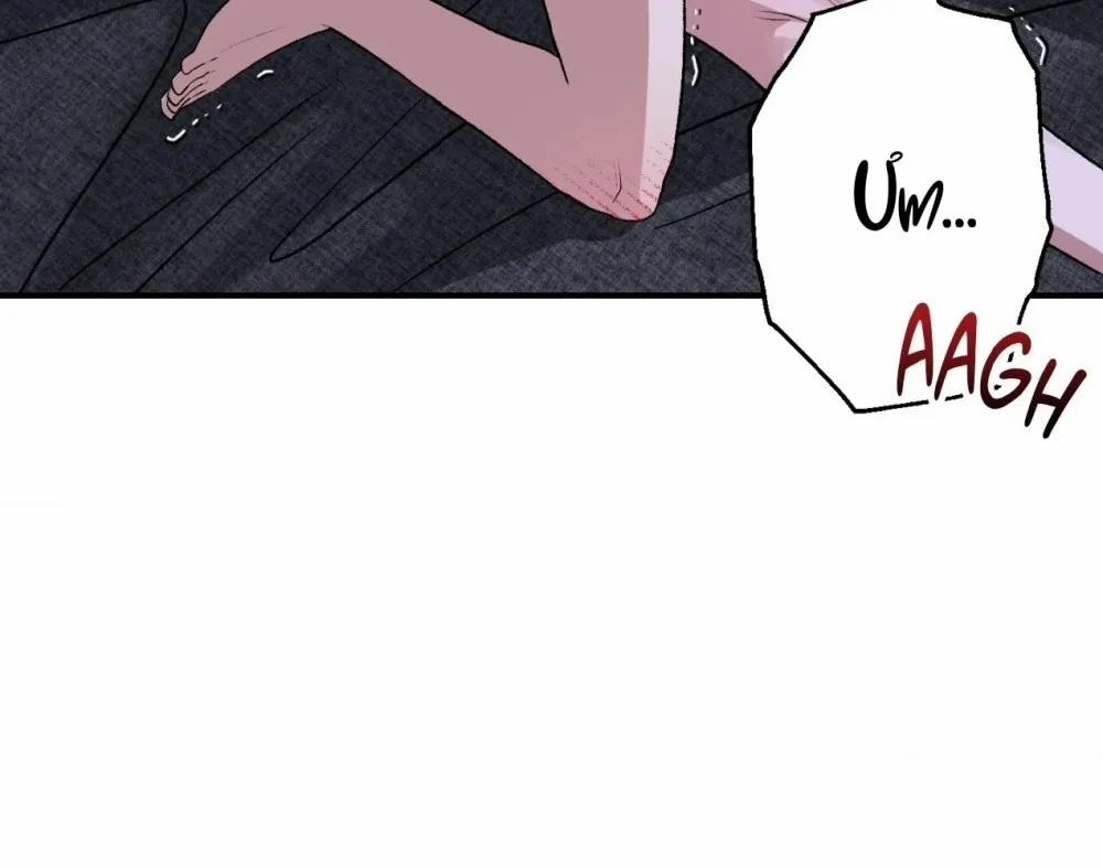 Vốn Dĩ Cậu Là Của Tôi 4 trang 4