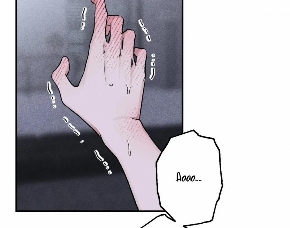 Vốn Dĩ Cậu Là Của Tôi 5 trang 5