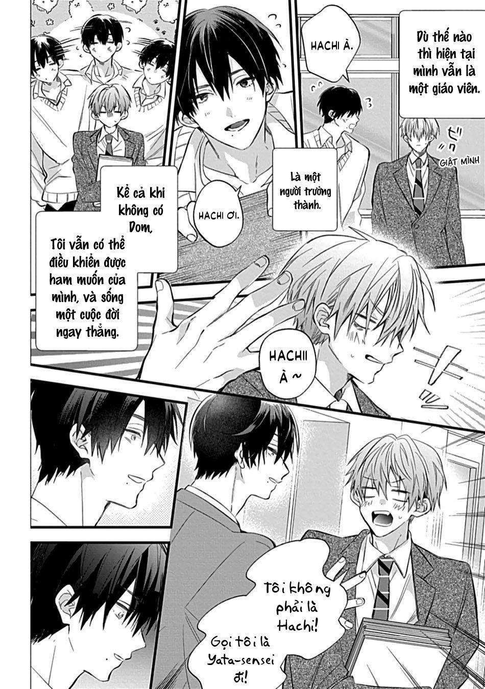 Vòng Cổ Của Hachi 1 trang 11