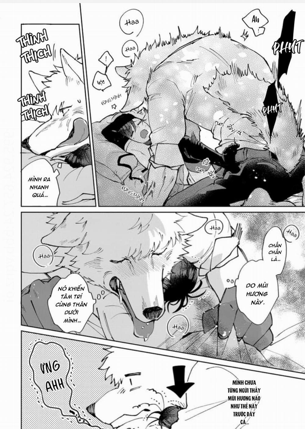 Vòng cổ của hoàng tử 1 trang 13