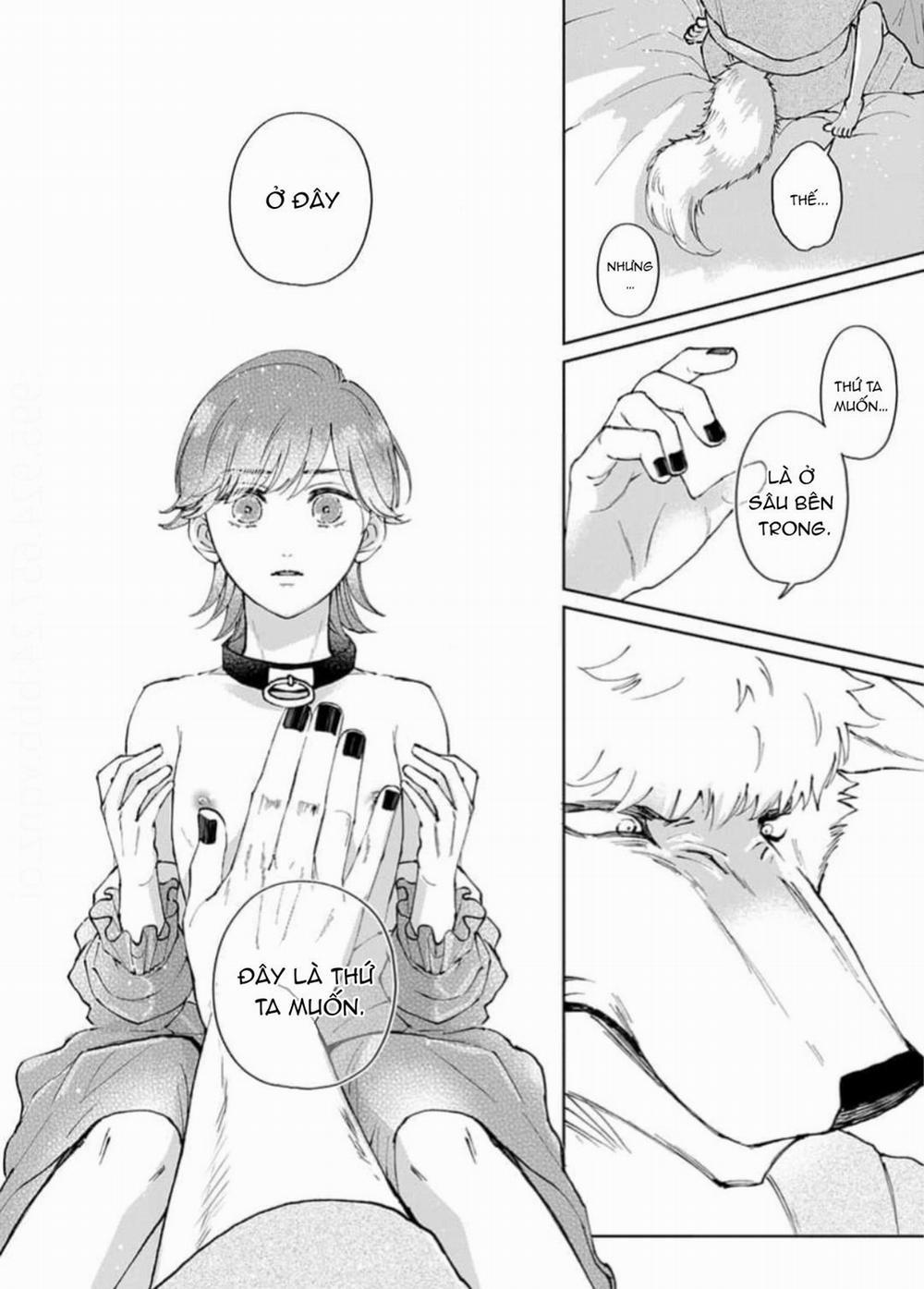 Vòng cổ của hoàng tử 4 trang 6