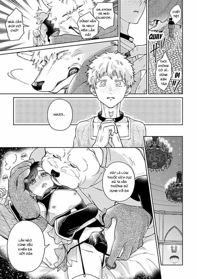 Vòng cổ của hoàng tử 5 trang 4