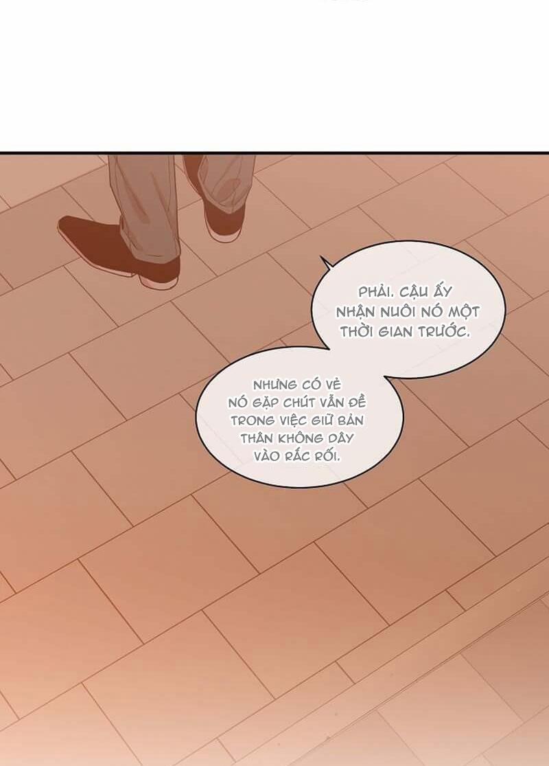 Vòng Tròn Cạm Bẫy 13 trang 10