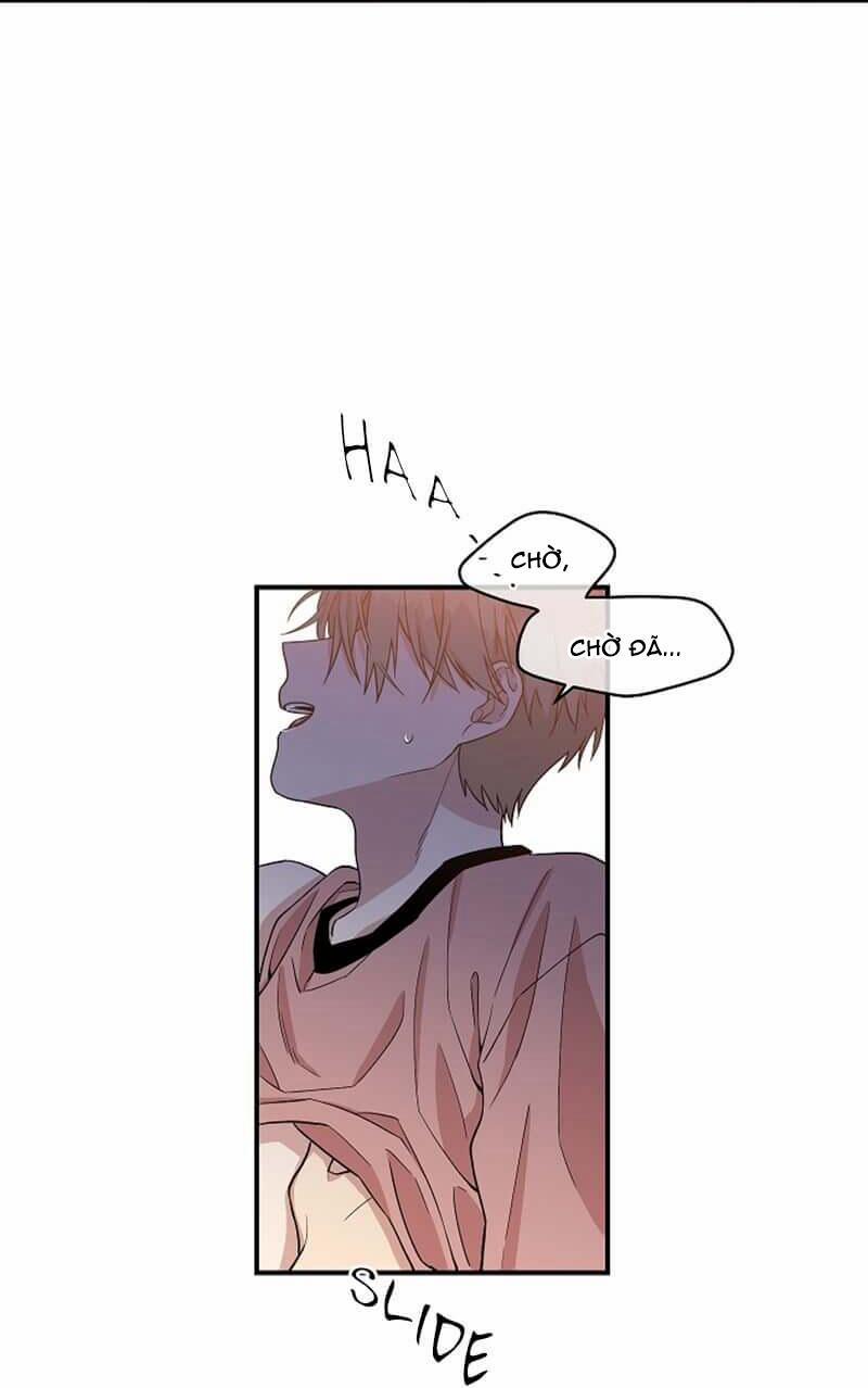 Vòng Tròn Cạm Bẫy 13 trang 19