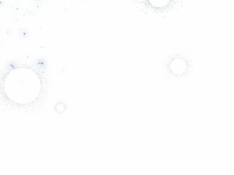 Vòng Tròn Cạm Bẫy 13 trang 54