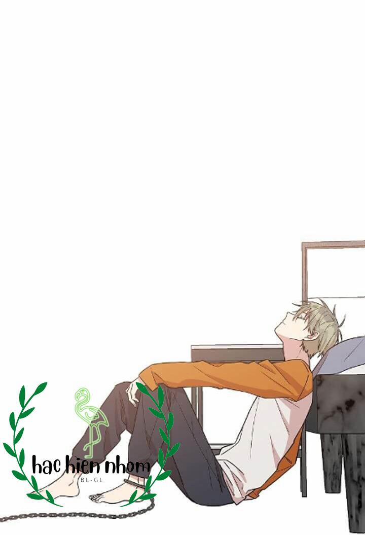 Vòng Tròn Cạm Bẫy 15 trang 29