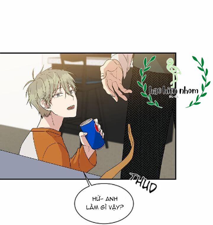 Vòng Tròn Cạm Bẫy 15 trang 39