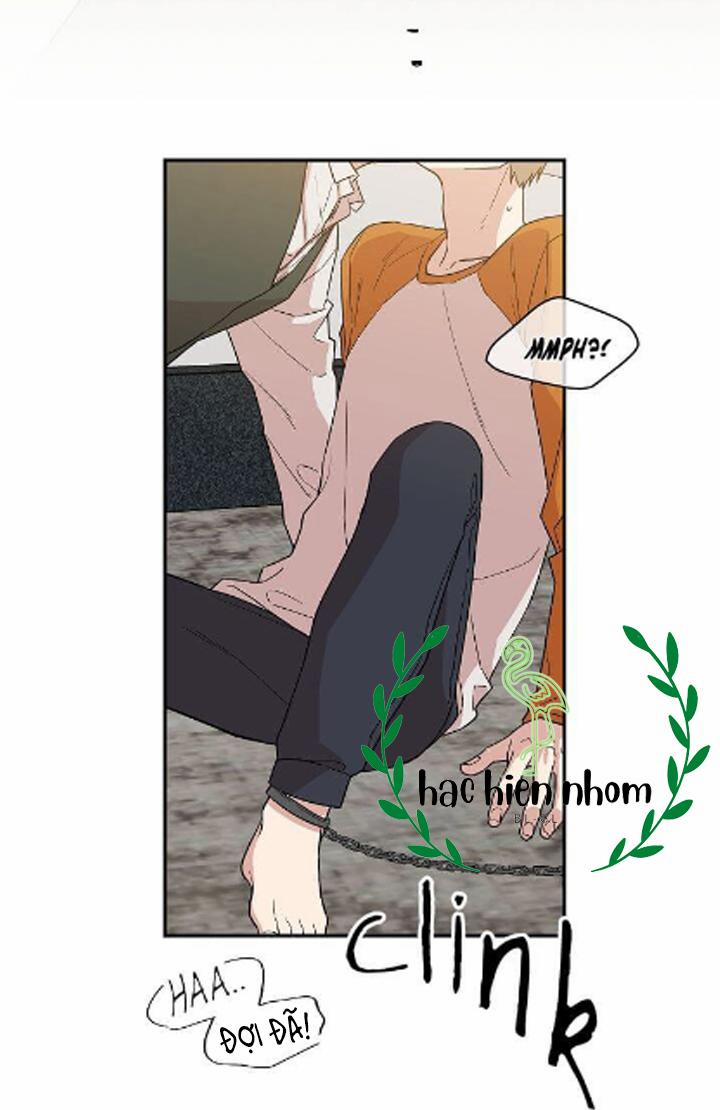 Vòng Tròn Cạm Bẫy 15 trang 42