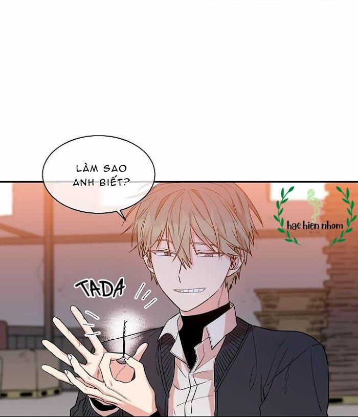 Vòng Tròn Cạm Bẫy 17 trang 4