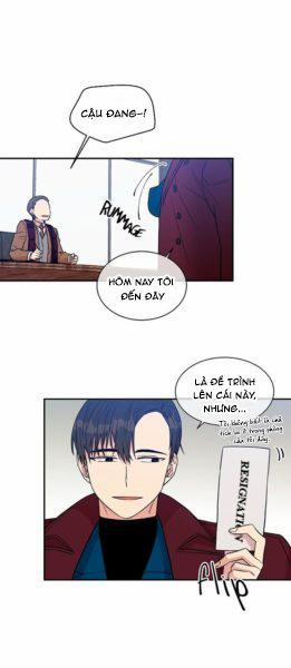 Vòng Tròn Cạm Bẫy 19 trang 24