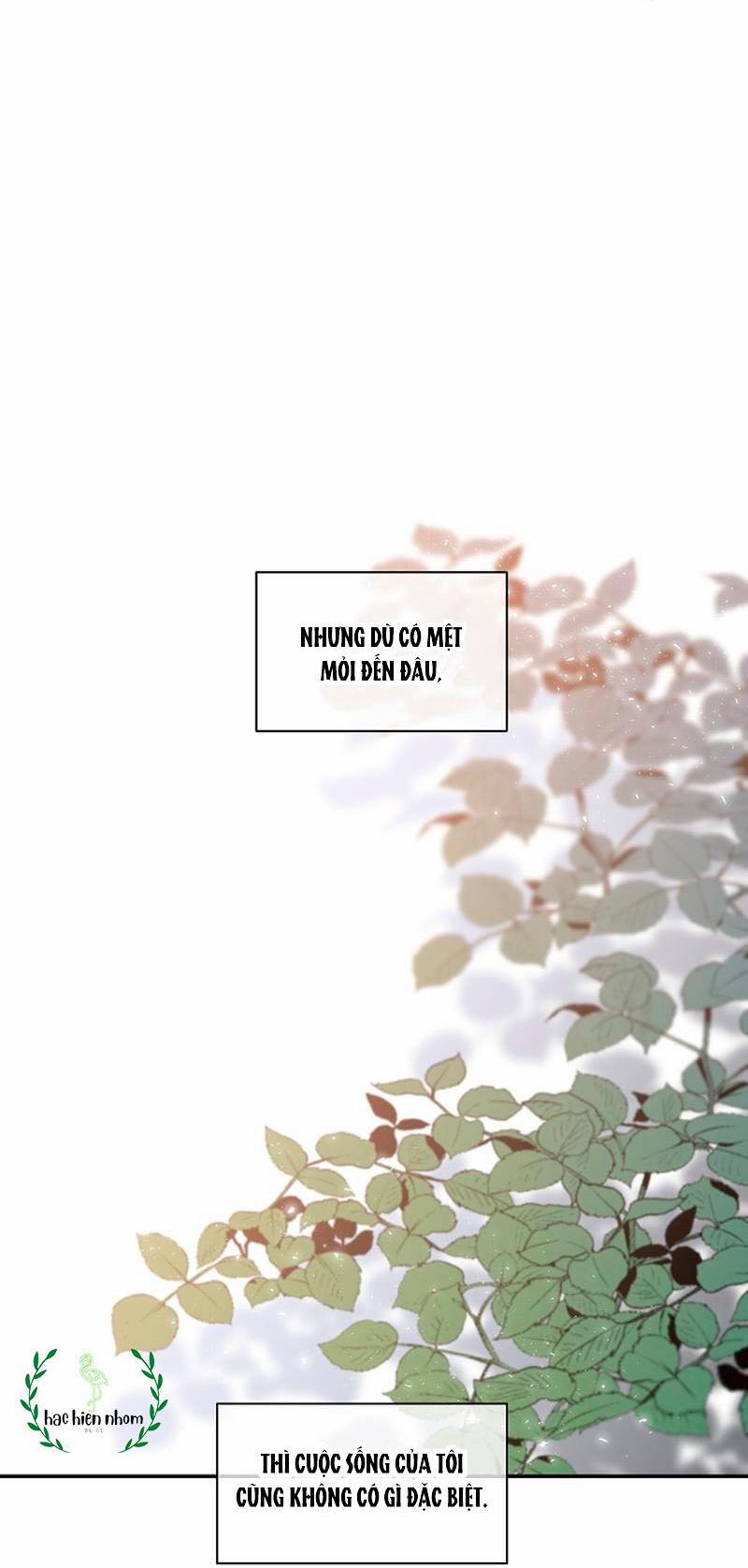 Vòng Tròn Cạm Bẫy 20 trang 35