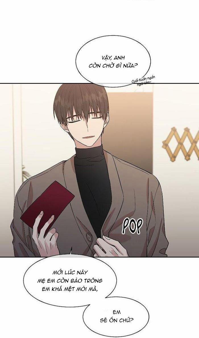 Vòng Tròn Cạm Bẫy 23 trang 48