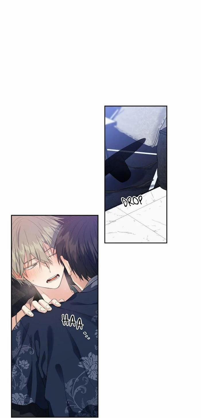 Vòng Tròn Cạm Bẫy 24.2 trang 9