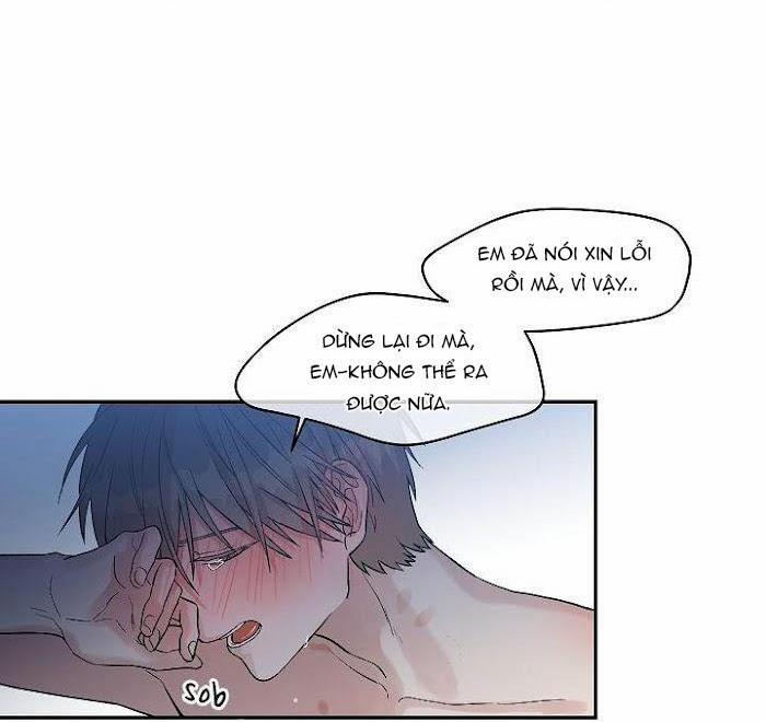 Vòng Tròn Cạm Bẫy 24 trang 54