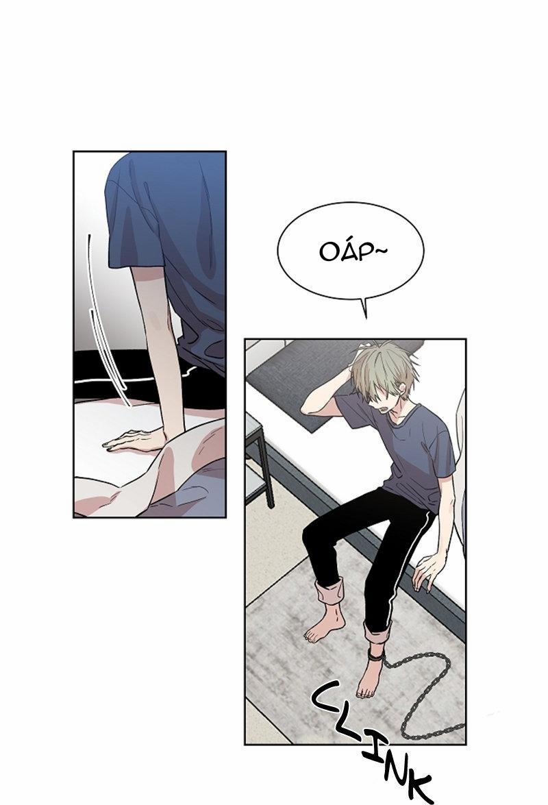 Vòng Tròn Cạm Bẫy 3 trang 2