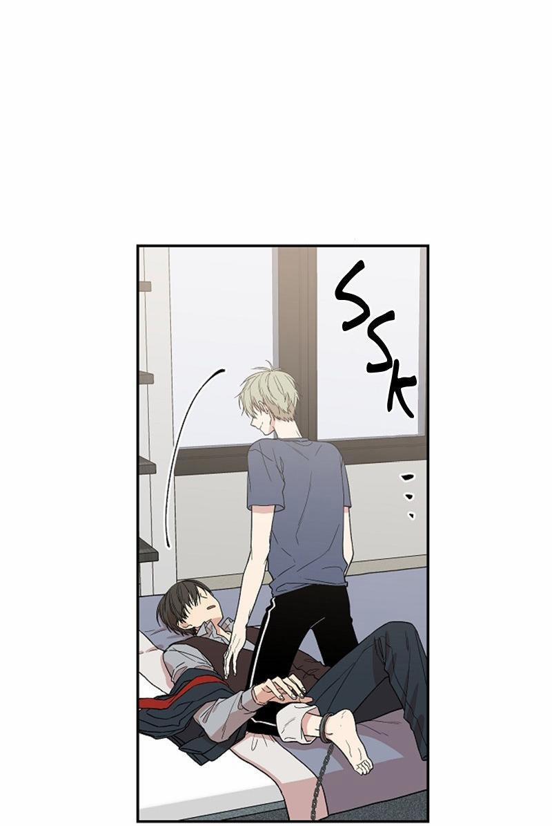 Vòng Tròn Cạm Bẫy 4 trang 4