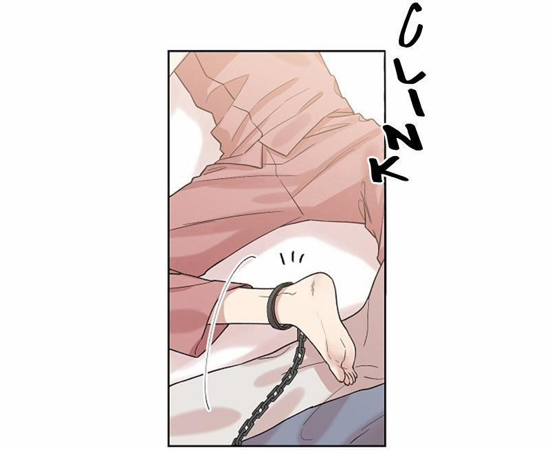 Vòng Tròn Cạm Bẫy 6 trang 5