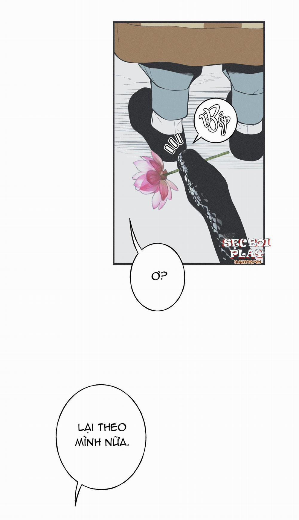 VÒNG XOÁY CỦA RẮN 10 trang 24