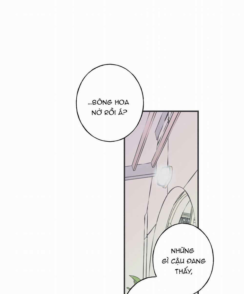 VÒNG XOÁY CỦA RẮN 9 trang 3