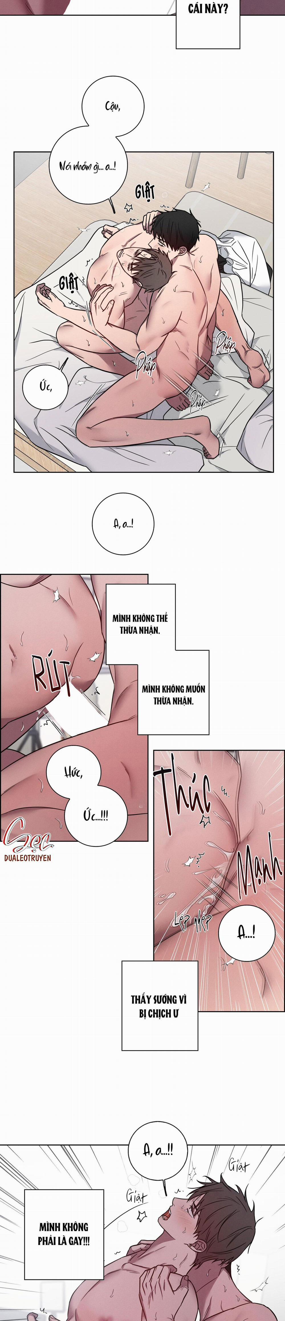 Vụ Án Con Cu Biến Mất 7 trang 2