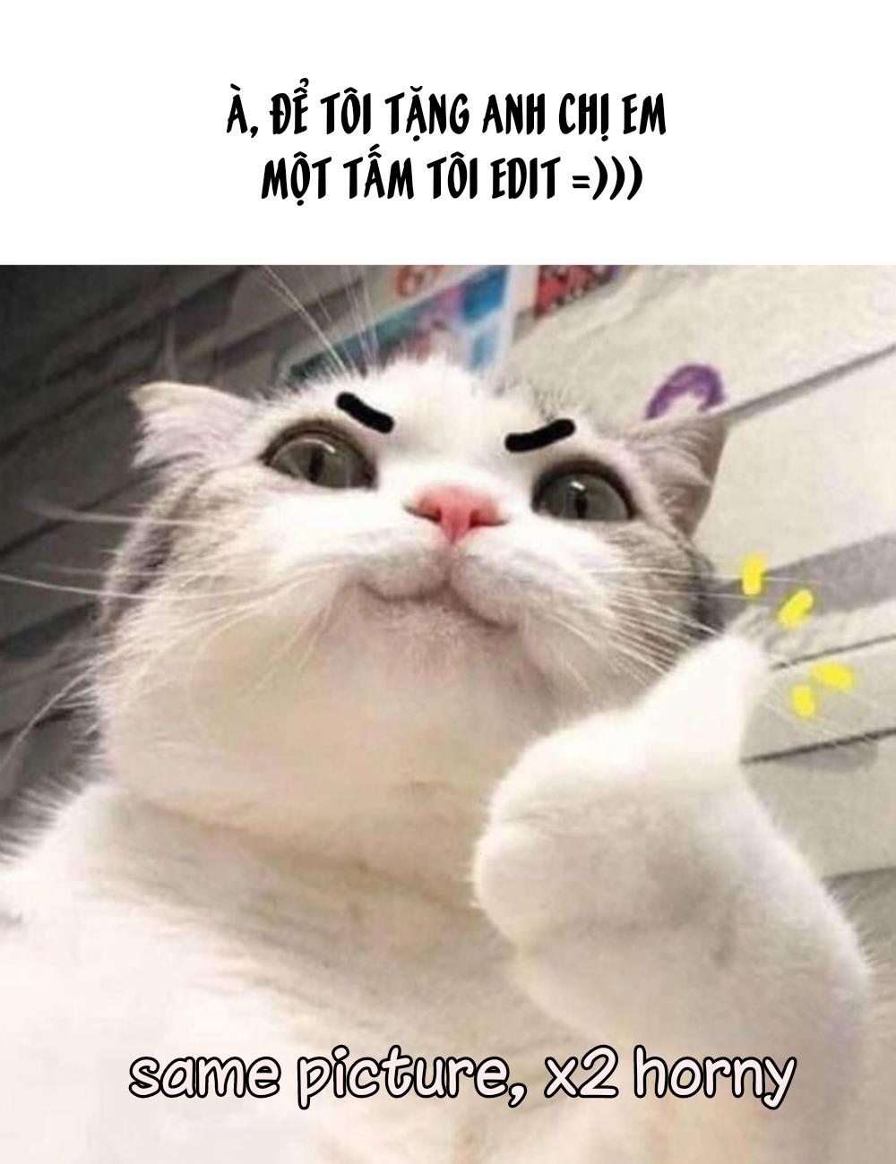 Vụ án Hồ Tình Yêu (The Legend of Zelda) II trang 14