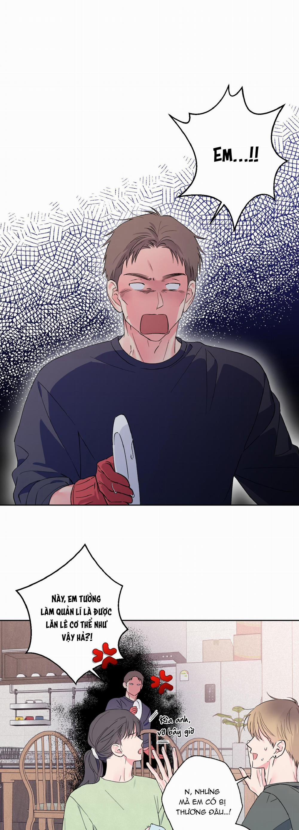 Vụ Bê Bối Của Beta 18 trang 0