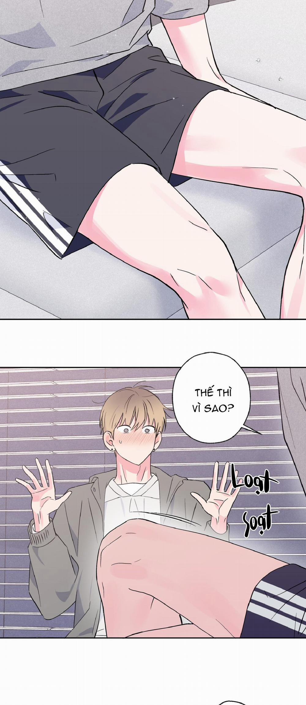 Vụ Bê Bối Của Beta 27 trang 22